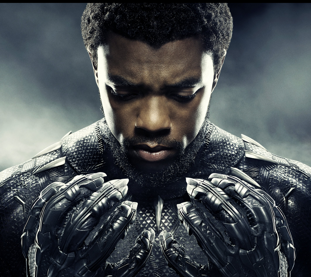 Pemeran Utama Film Black Panther